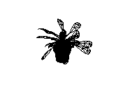d53dn032.dwg