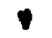 d53dn037.dwg