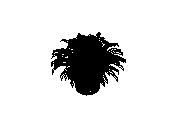 d53dn041.dwg