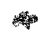 d53dn043.dwg