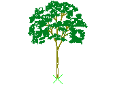 D3VLN068.dwg